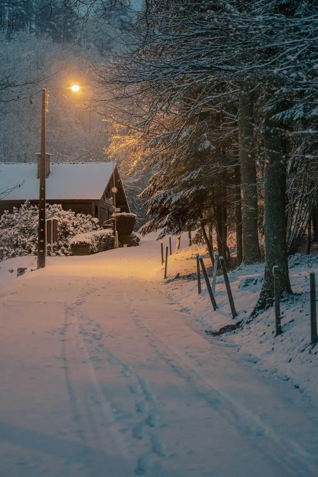 A snowy lane lit by a single streetlight, a small house beside it